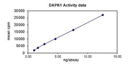 Eurofins DiscoverX DAPK1 Protein, Active 250 &mu;g | Buy Online | Eurofins DiscoverX | Fisher Scientific